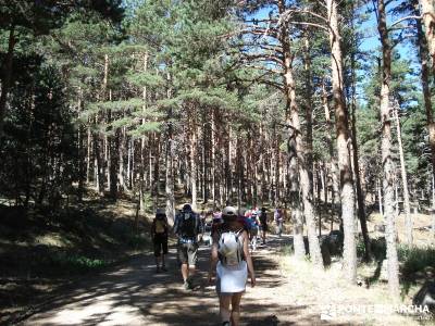 Entre el Puerto y Chorro de Navafría;rutas para caminar equipamiento para senderismo rutas senderis